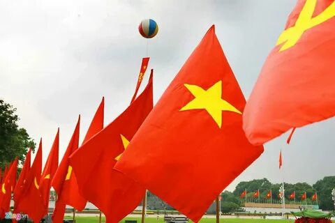 Hotspot Matrix - Hợp tác với TP HCM để ngăn chặn quảng cáo sai sự thật và thực phẩm giả_ứng dụng chỉnh sửa video miễn phí