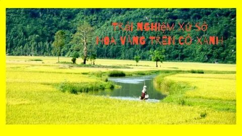 Chính sách đại lý của Hotspot Matrix: Cơ hội hợp tác bền vững trong ngành video ngắn_Video phân phối nền tảng
